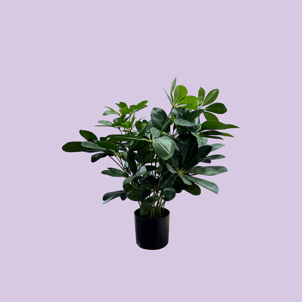 Kunstig Baby Schefflera